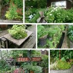 TreeTrunk(ツリートランク)広いお庭☆花とネコとカフェ♪ in 津山市