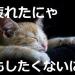 だるい・めまい・冷え・疲れが続くのは鉄分不足が原因かも!