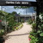 素敵なガーデンでランチ「GardenCafeMOCO」津山市