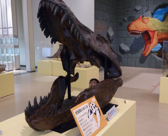 愛媛県総合科学博物館の恐竜の骨格