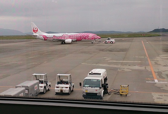 JALのピンクのジンベイザメ飛行機