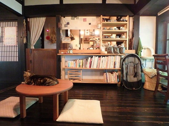 古民家カフェ「歩とり」のネコ