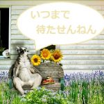 田舎で消耗したい?~昭和のルールと病院のシステム(田舎の暮らし)