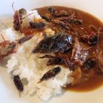 爬虫類カフェでヘビを首に巻いて昆虫カレーを食べる「爬虫れぼ」岡山県倉敷市