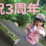 ブログをはじめて3年たったのでセブへ行きます