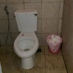 ゴキブリに驚いちゃダメ!トイレにティッシュは流せない(セブ親子英語留学日記①)