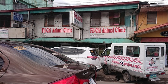 セブ島の動物病院