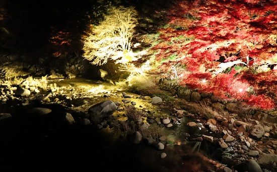 鏡野町「奥津渓」秋のライトアップ