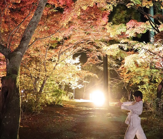 鏡野町「奥津渓」秋のライトアップ