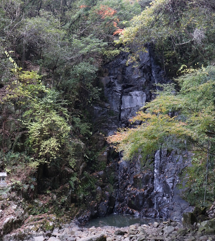 「千早の滝」の紅葉
