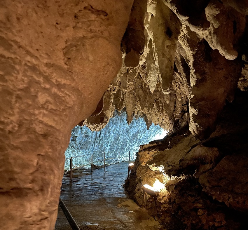 ガンガラーの谷洞窟・ガジュマルの森探検