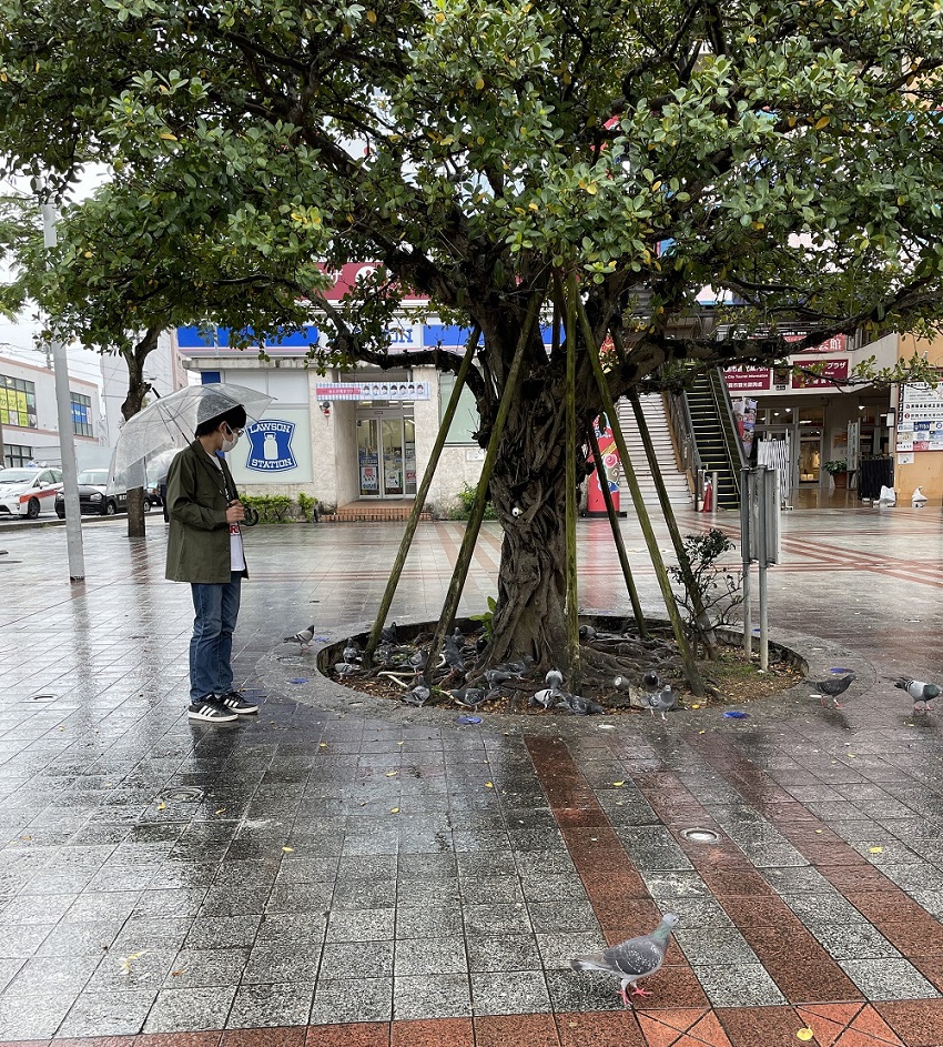 雨の沖縄国際通り