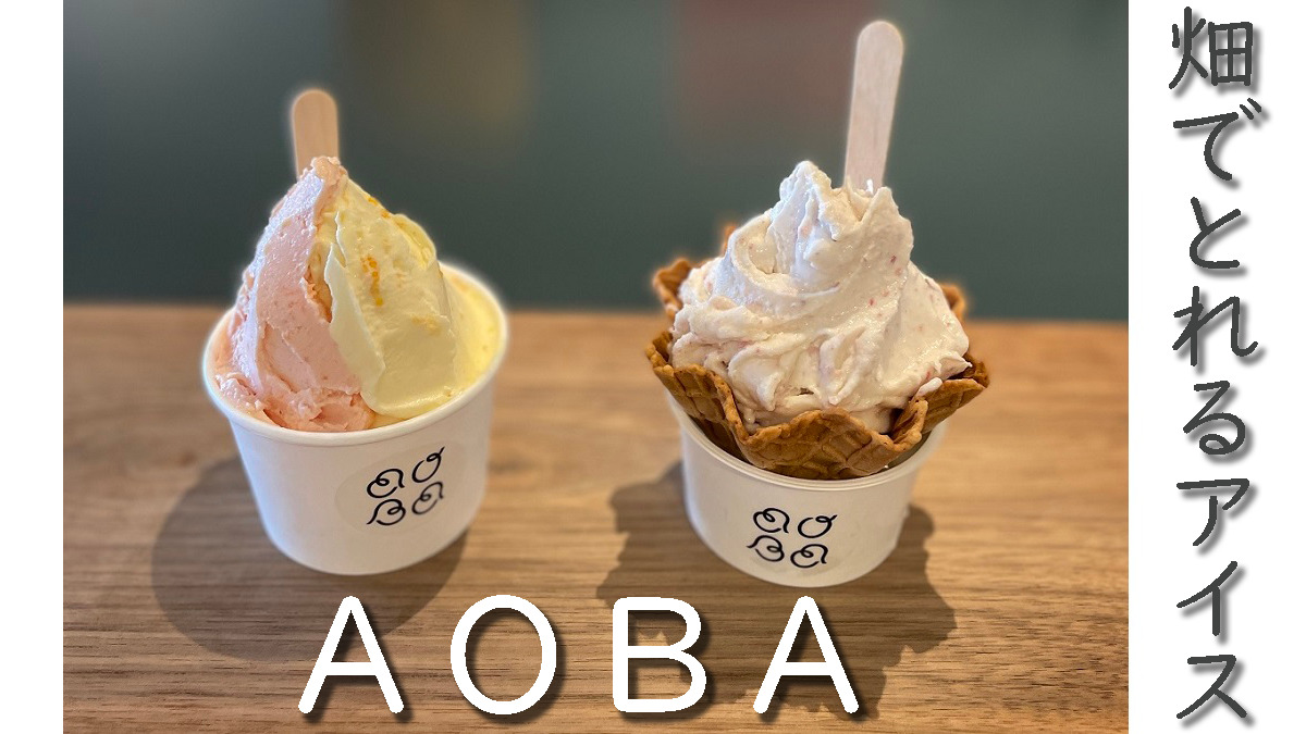 畑でとれるアイスのお店AOBA（あおば）