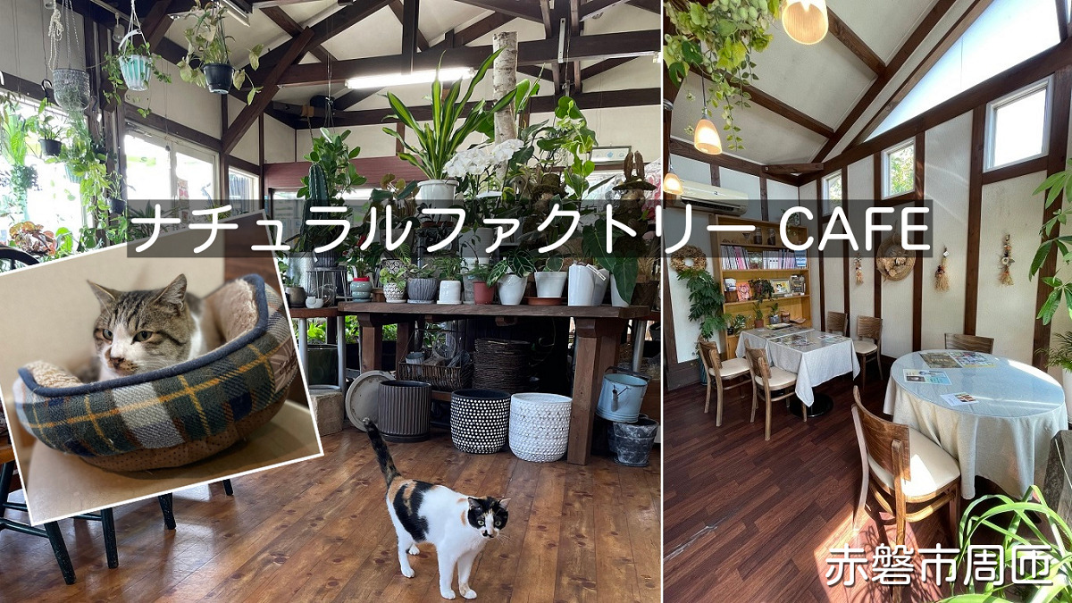 猫と花屋とカフェ「ナチュラルファクトリーCAFE」赤磐市周匝