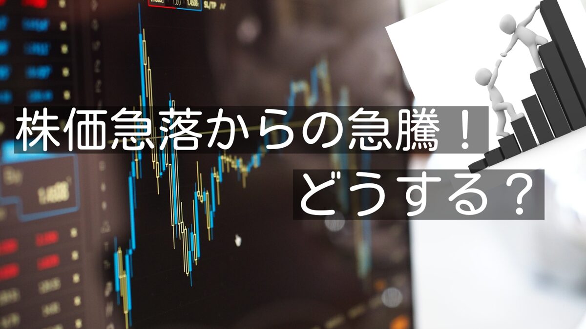 株価急落からの急騰！NISAはこれからどうする？