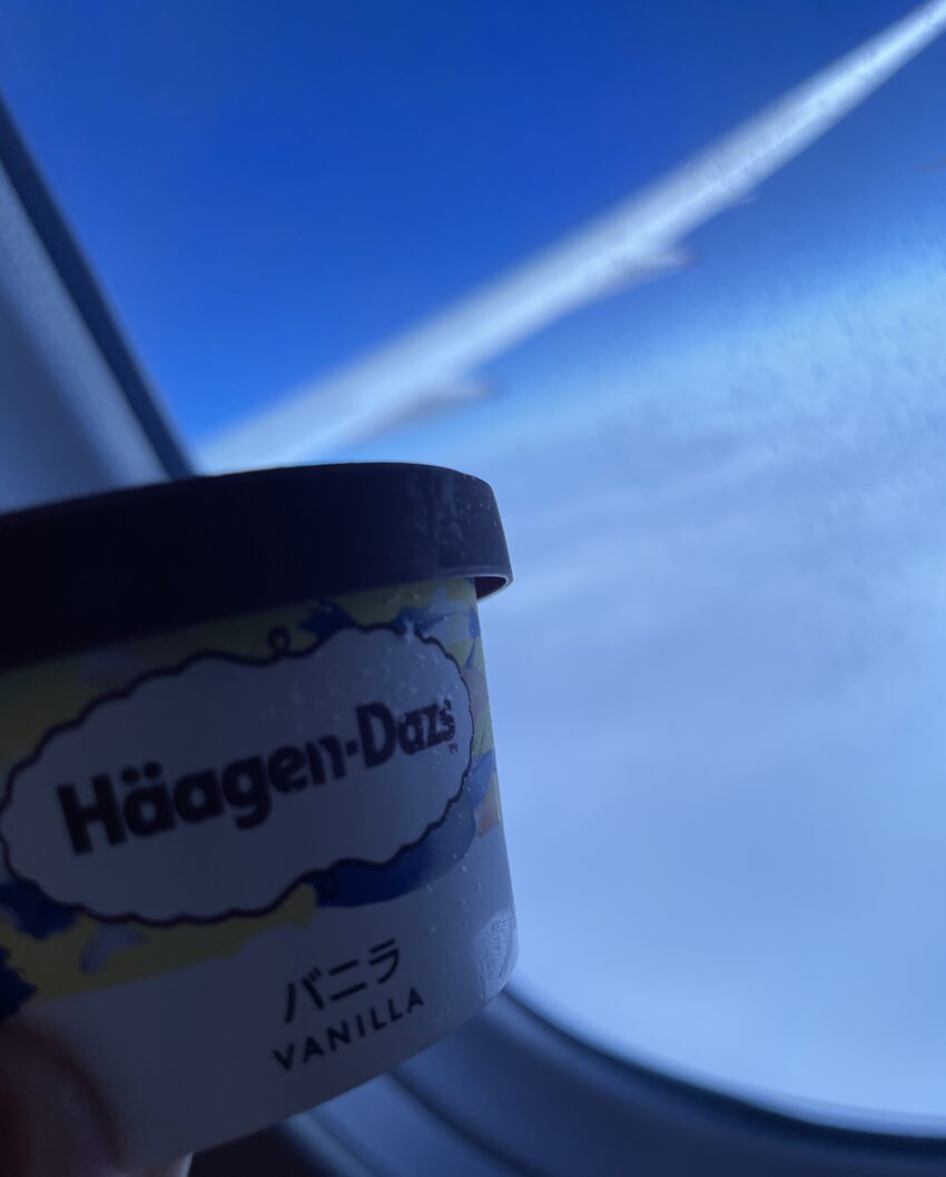 シンガポール航空機内食