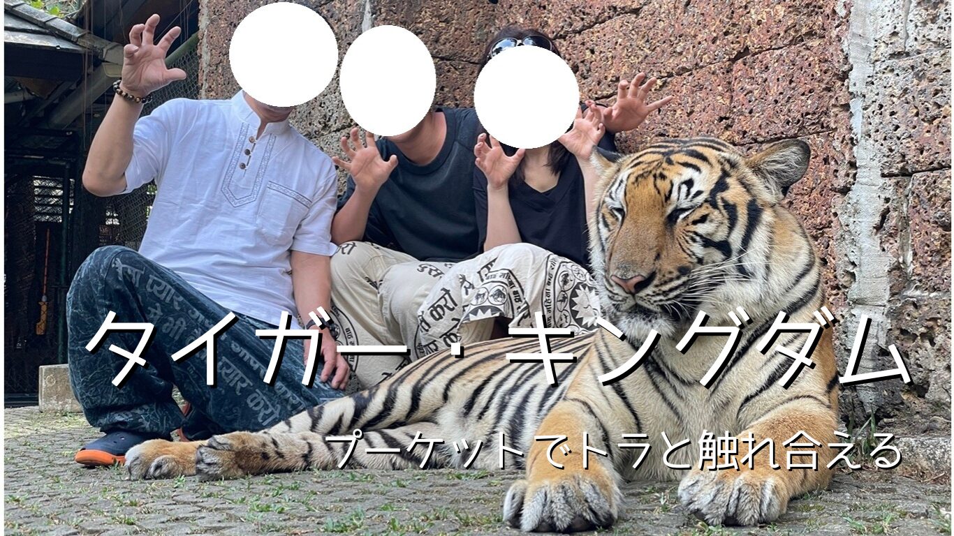 トラと一緒に写真が撮れる「タイガーキングダムプーケット」※お得情報・注意点