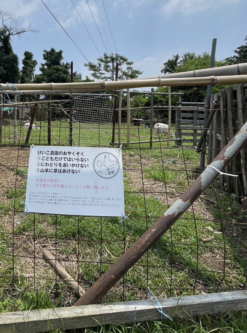 奈義町「けいこ農園」の山羊と鶏