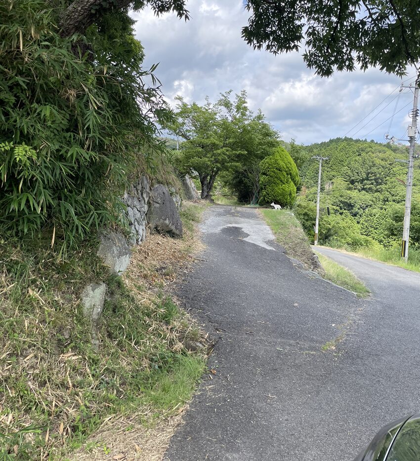 カフェ＆アートスペース風舎（和気町）道のりと駐車場