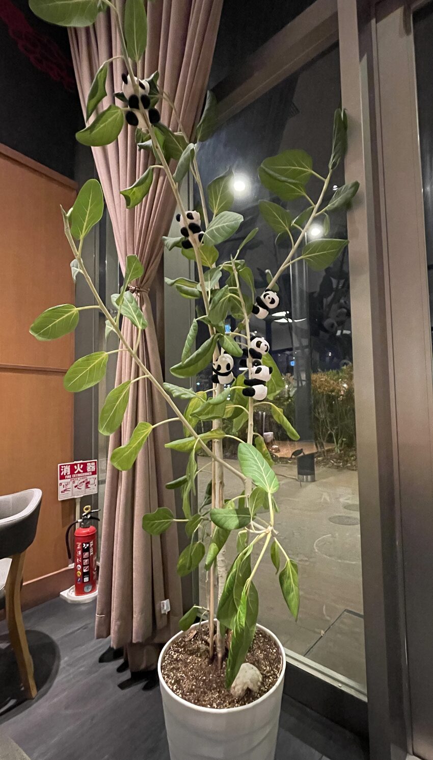 パンダがかわいい台湾点心房(アリオ倉敷フードコート)