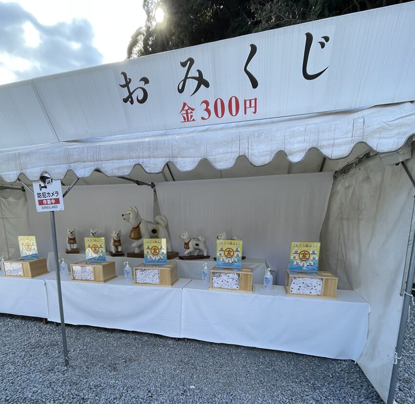 金刀比羅宮(こんぴら狗)犬のおみくじ