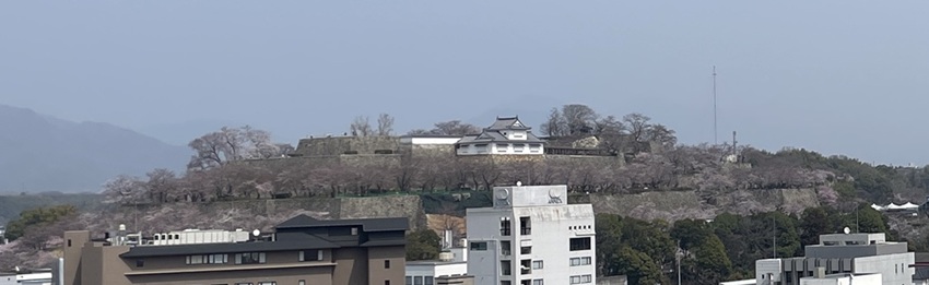 津山城(鶴山公園)